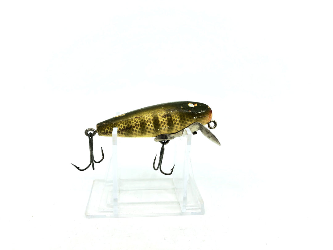 Paw Paw River Rustler Pikie Scale Color