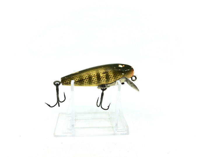Paw Paw River Rustler Pikie Scale Color