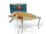 Circle H Sourpuss in Spotty Rainbow Color New in Box