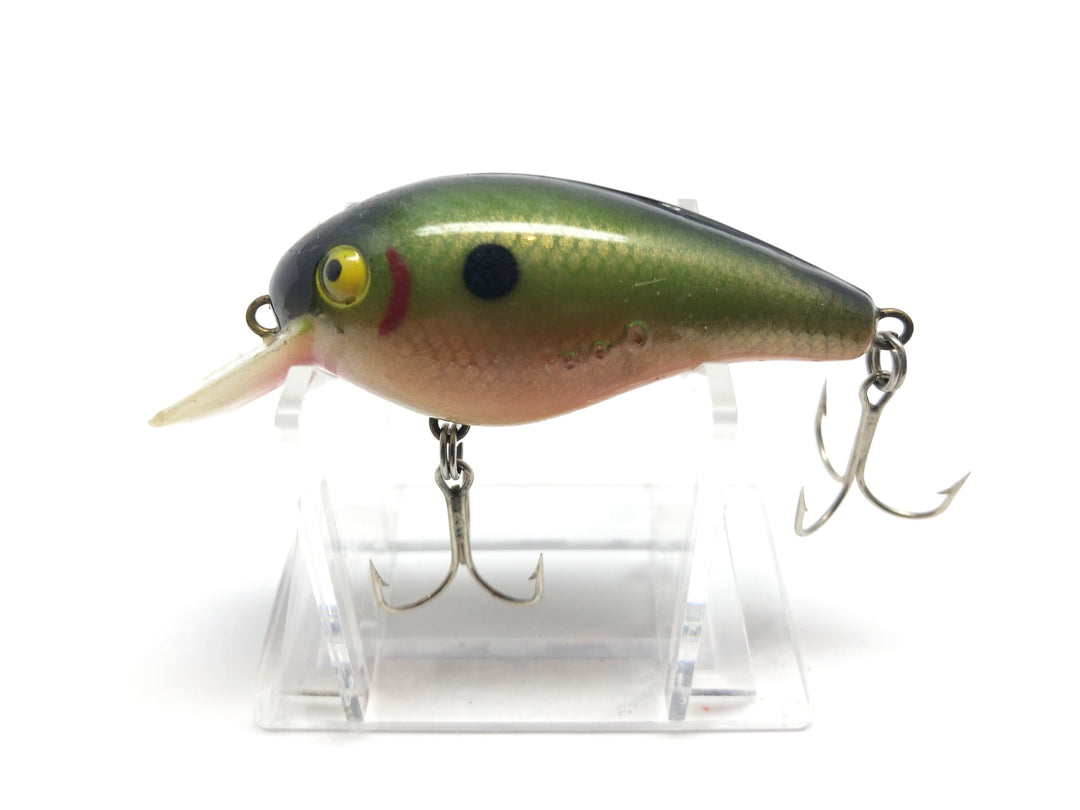 Cordell Big-O Rainbow Color Smaller Size