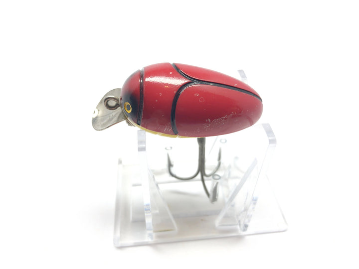 Millsite Rattle Bug Ladybug Color