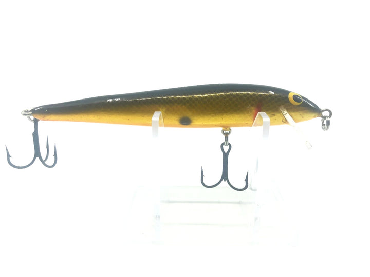 Golden Minnow