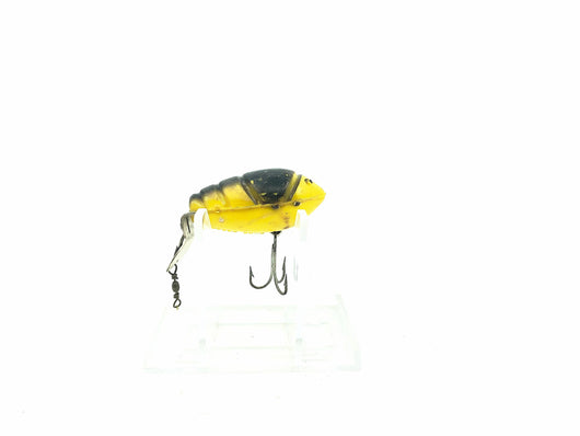 Creek Chub 9900 Cray-Z-Fish in Yellow Black Color