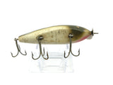 Creek Chub Injured Minnow Silver Flash Color