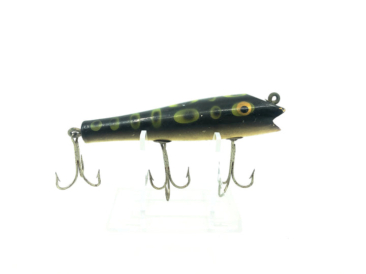 Paw Paw Darter, Frog Spot Color