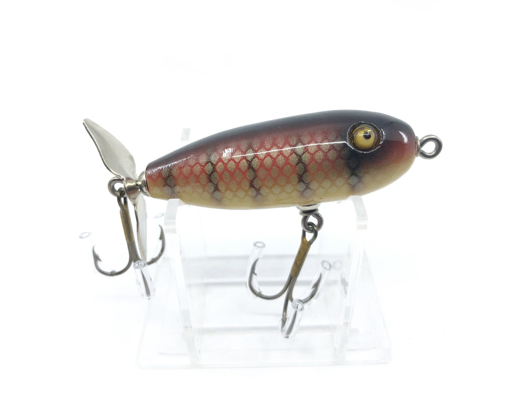 Chautauqua Baby Torpedo Lure Red Perch Color