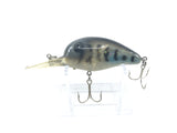 Rogers Deep Jim Lure Great Color