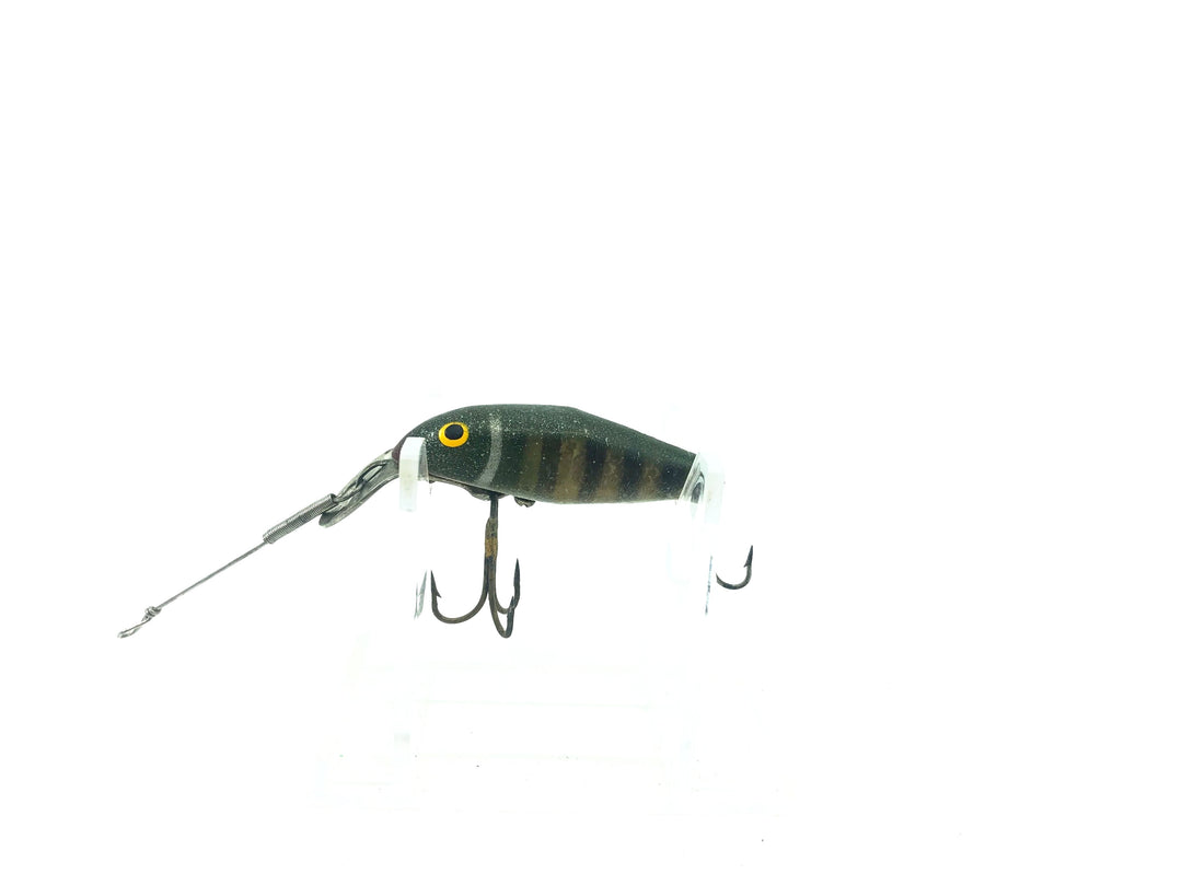 Cisco Kid Baby Cisco Green/Black Rib Color