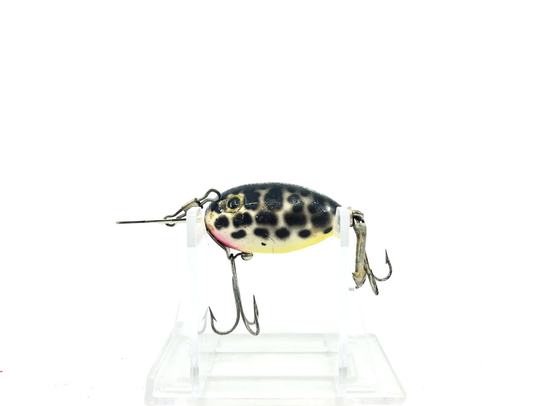 Arbogast Arbo-Gaster Coachdog Color