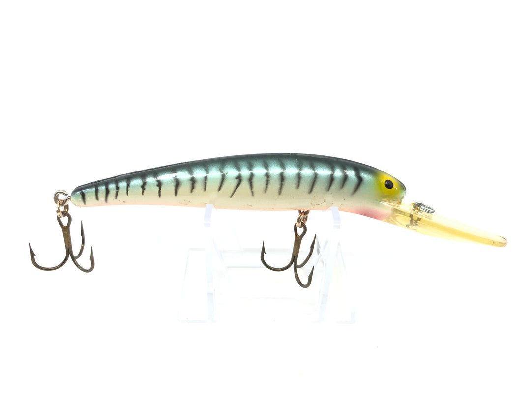 Bomber Long A 25A Black Tiger on Blue Color Screwtail