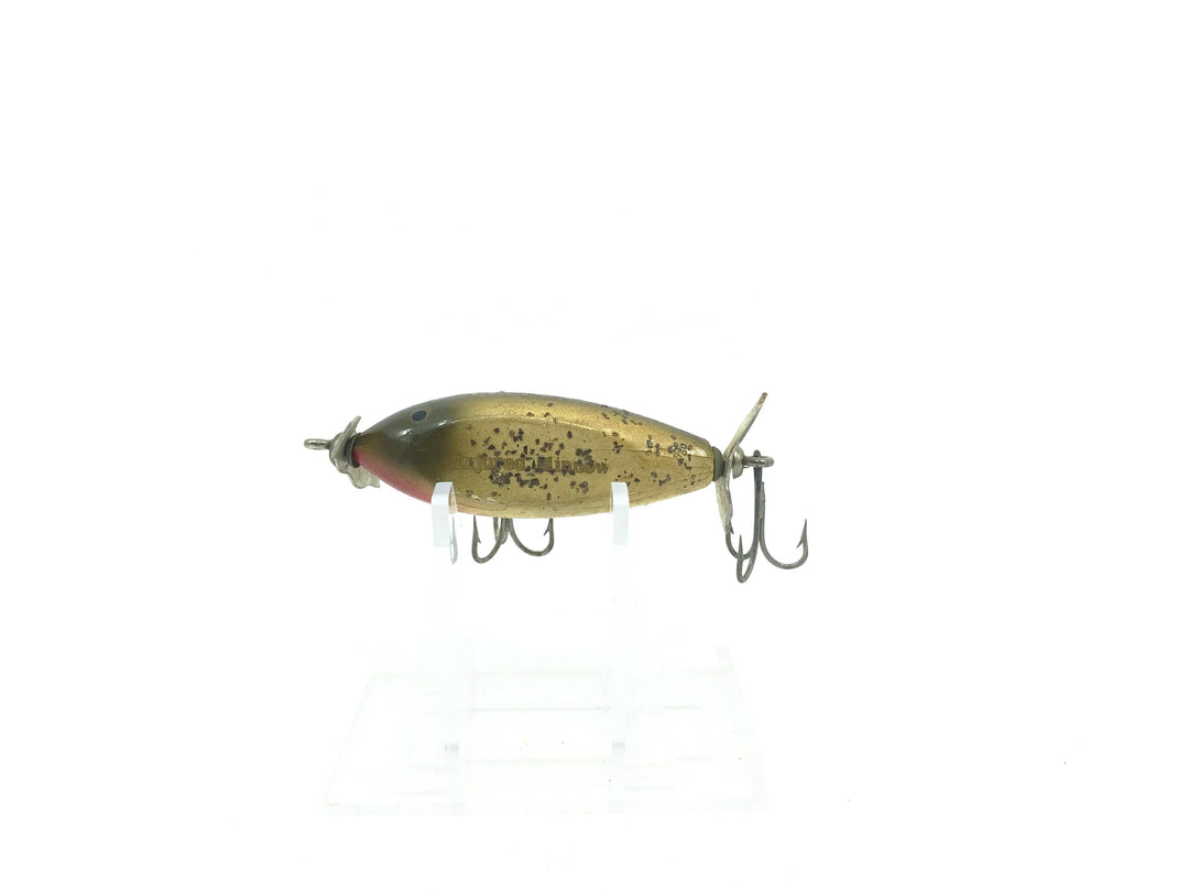 Creek Chub Baby Injured Minnow Silver Flash Color