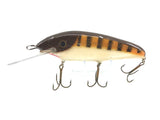 Crane Wooden Musky Lure 606 in Brown Perch Color