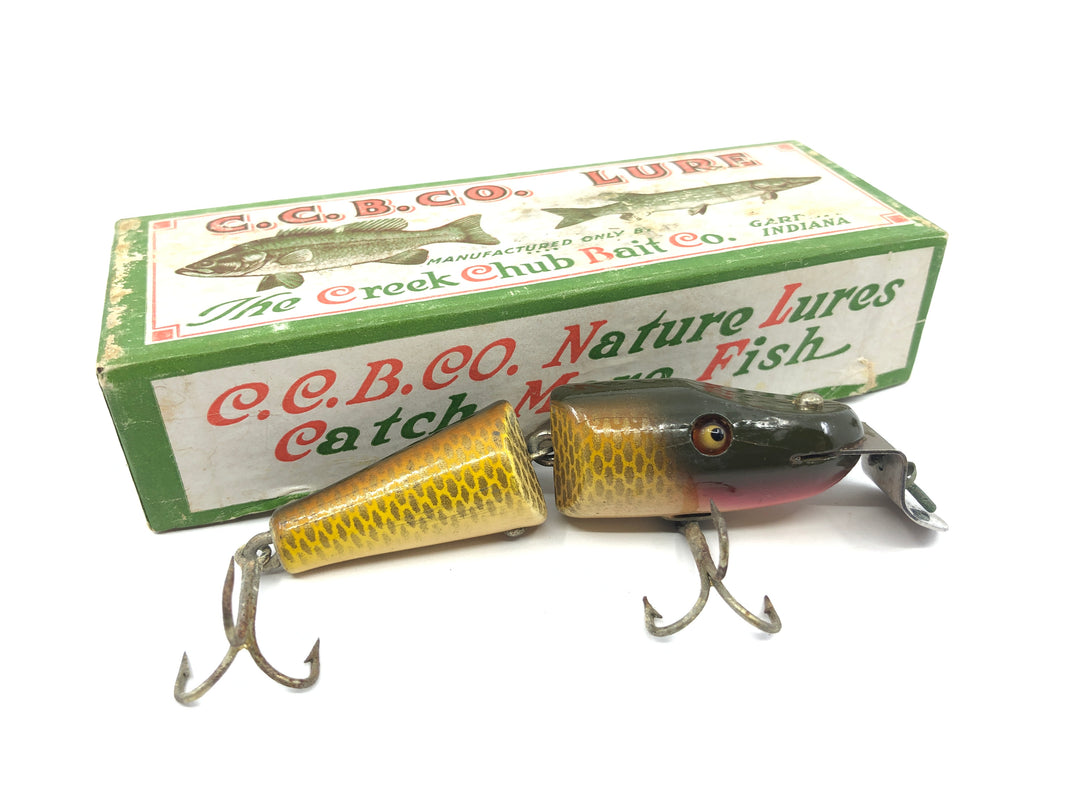 Creek Chub 2704 Baby Jointed Pikie in Golden Shiner Color with Box
