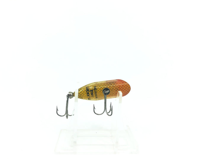 Heddon Tiny Lucky 13 L Perch Color