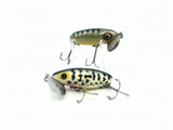 Two Arbogast Jitterbug Perch/Coachdog Colors