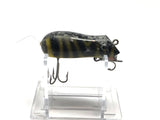 Creek Chub Mouse Tiger Stripe