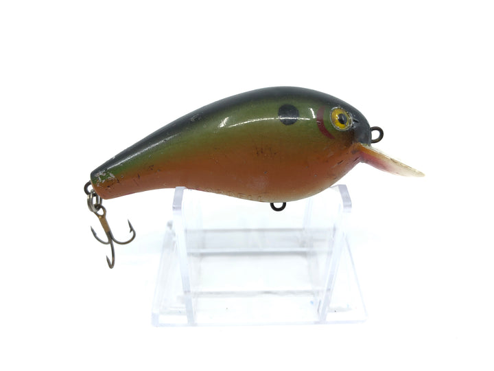 Cordell Big-O Rainbow Color