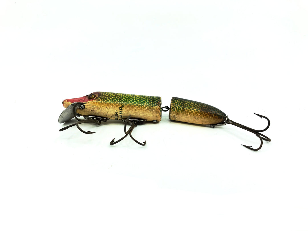 Heddon Jointed Vamp L Perch Color