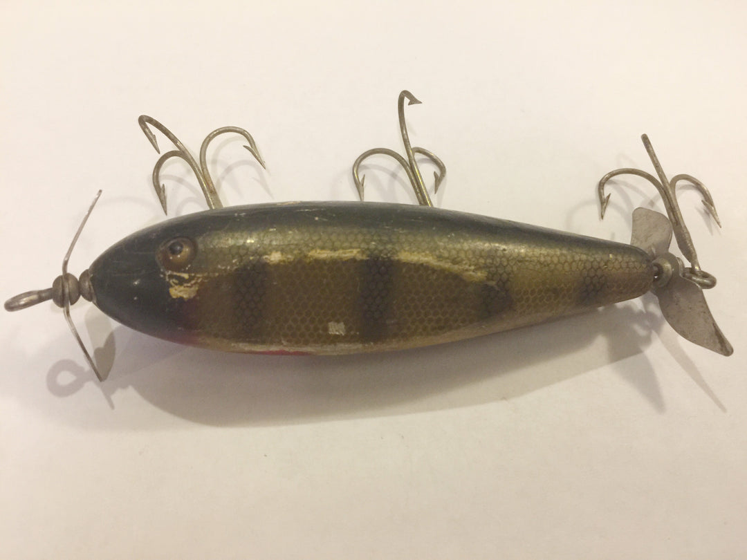 Creek Chub #1500 Injured Minnow Perch Scale