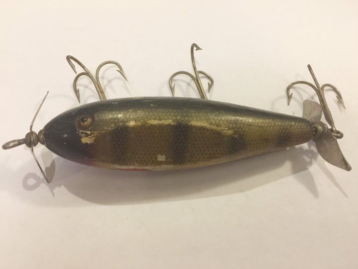 Creek Chub #1500 Injured Minnow Perch Scale