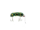 P & K Bright Eyes Frog Color