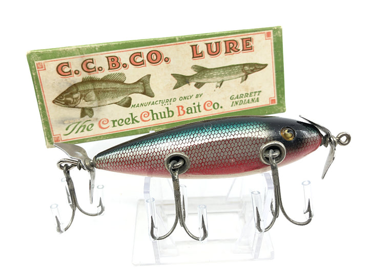 Creek Chub Injured Minnow 1505 Red Side Color with Box