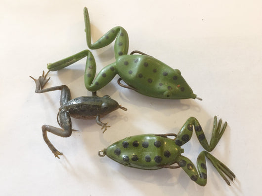 Grab Bag Lot!  Rubber Frogs
