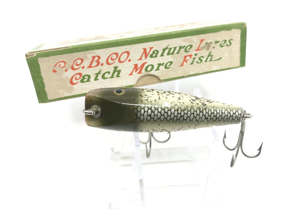 Creek Chub Midget Darter 8018 Silver Flash Color with Box