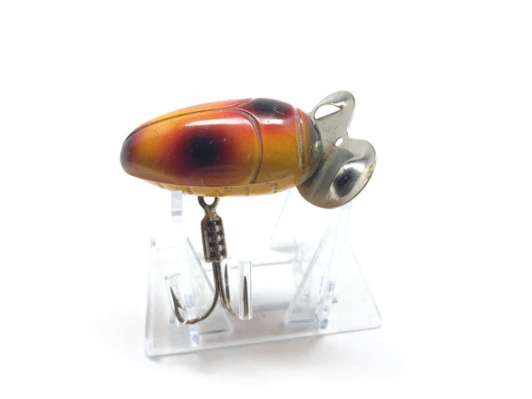 Millsite Paddle Bug Yellow with Red and Black Spots