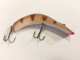 Lazy Ike 3 Brown Ribs Scale Pattern