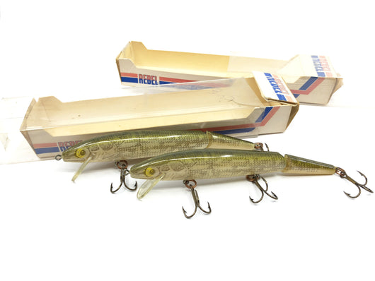 Lot of Two Rebel Jointed Minnow Walleye Color With Boxes