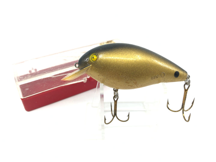 Cordell Big-O with Box Gold Color