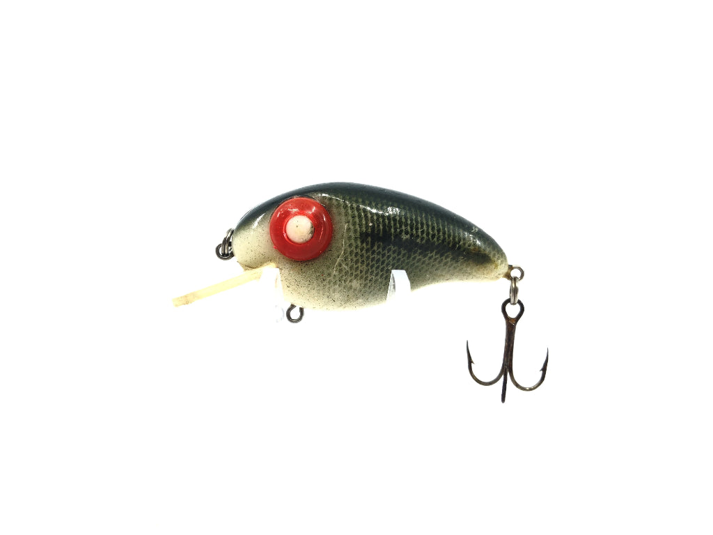 Rabble Rouser Ashley Baby Bass Color