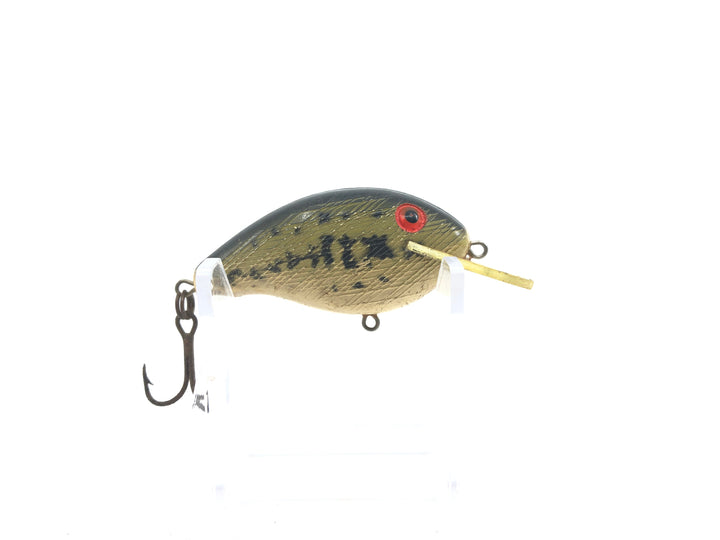 Rebel Wee R Ole' Bass Color