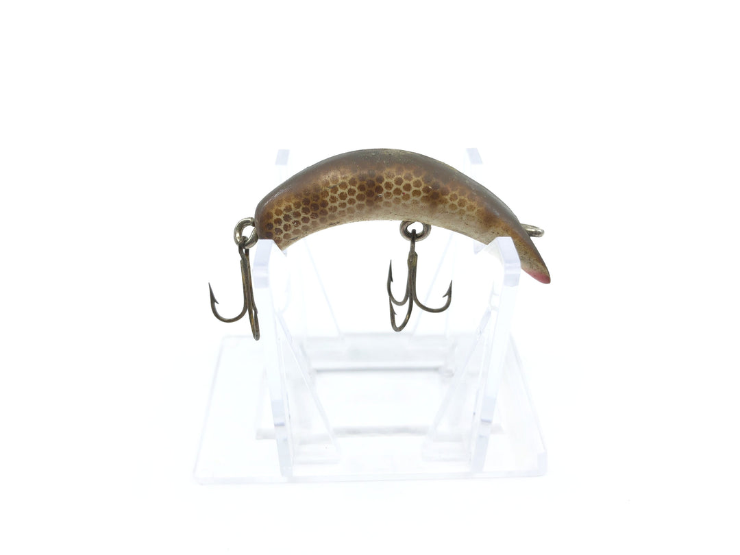 Lazy Ike 1 Brown Rib Scale Color