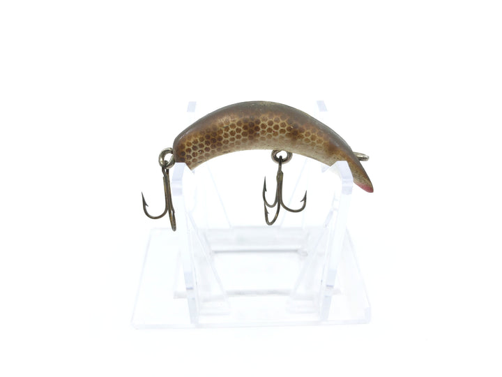 Lazy Ike 1 Brown Rib Scale Color