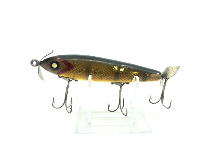 Paw Paw Aristocrat Shiner 8600, Pikie Scale Color