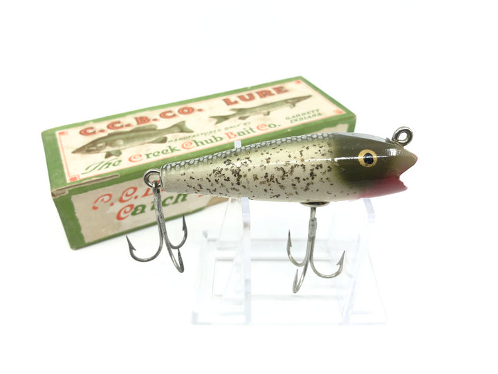 Creek Chub Midget Darter 8018 Silver Flash Color with Box