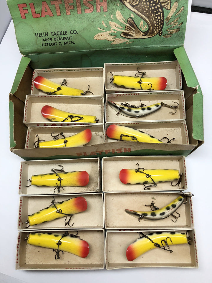 Helin Flatfish Dealer Box of 12 X5 CD Coach Dog Color Lures