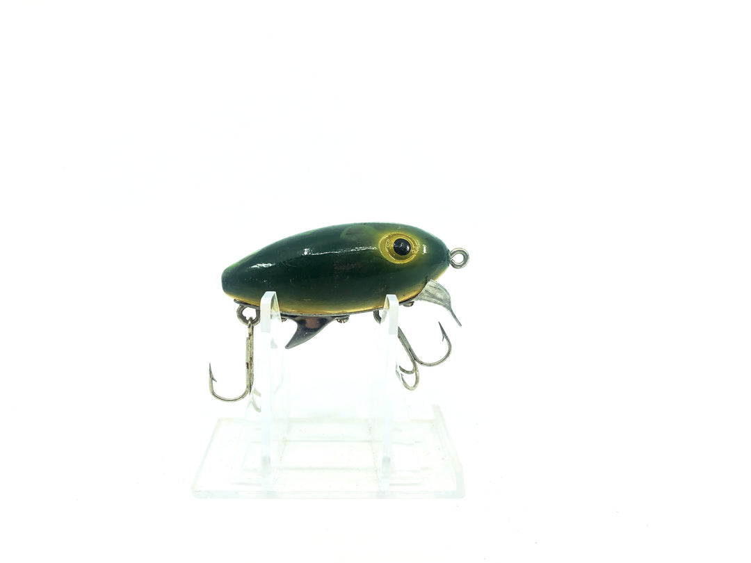 Clark's Water Scout Bullfrog Color