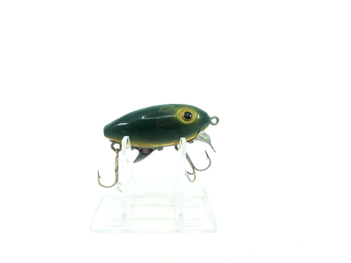 Clark's Water Scout Bullfrog Color