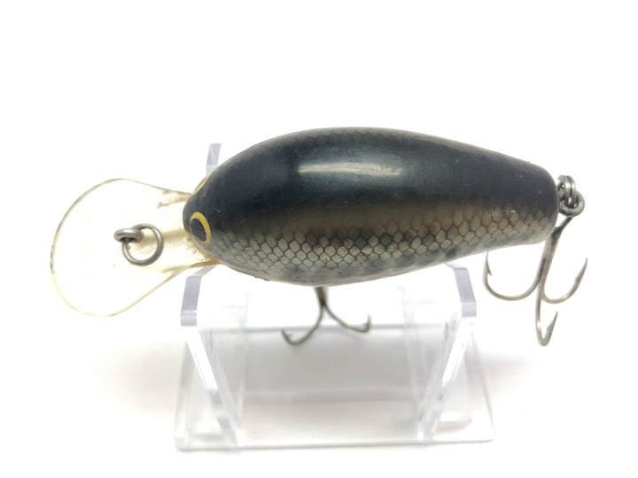 Bagley Diving B 2 DB2 LB4 Little Bass on White Color