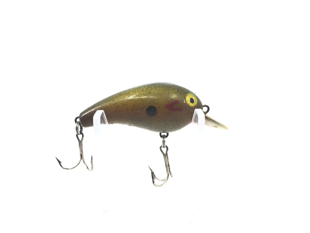 Cordell Big-O Pumpkin Seed Color