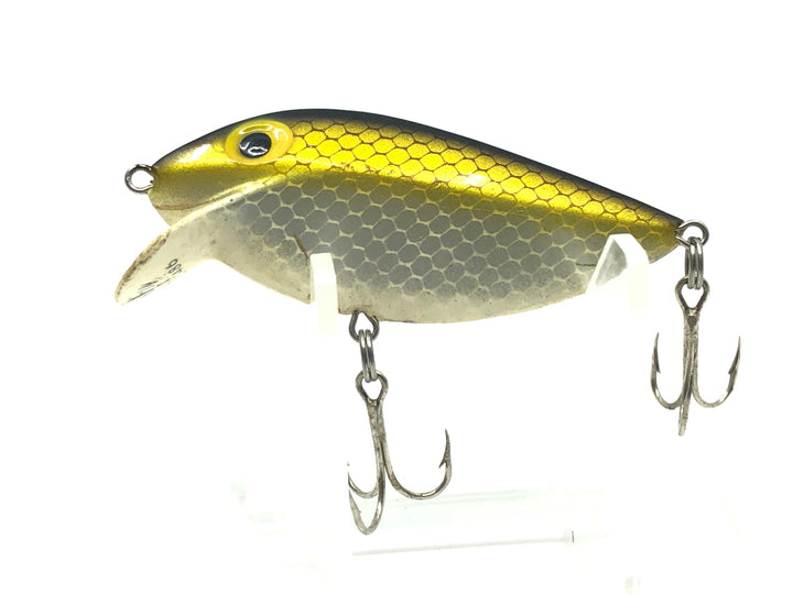 Storm Thin Fin Gold Scale