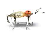Bomber Waterdog or Hellbender in White Shore Color
