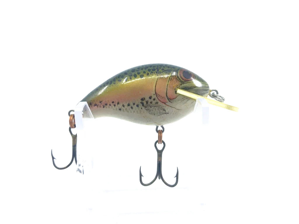 Rebel Wee R Naturalized Rainbow Trout