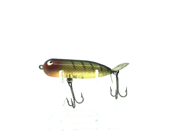 Heddon Baby Torpedo L Perch Color