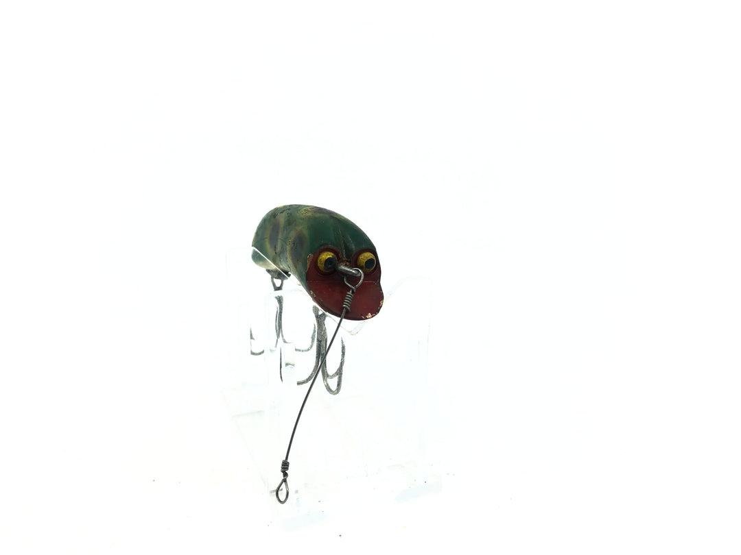 P & K Bright Eyes Frog Color