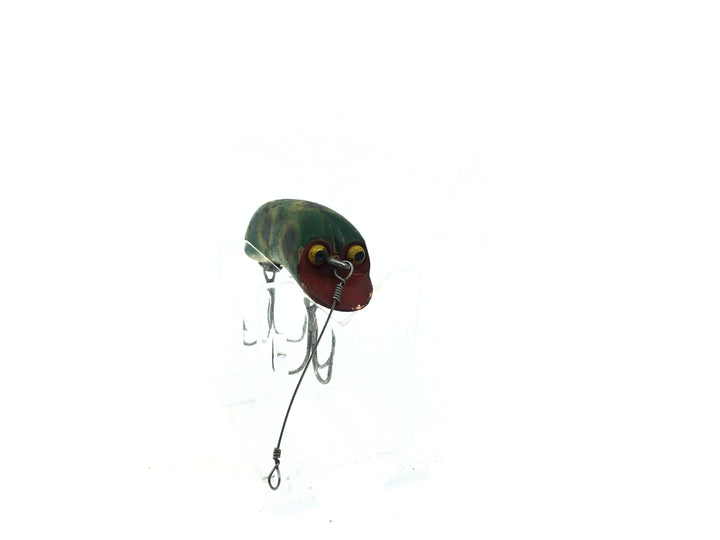 P & K Bright Eyes Frog Color