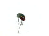 P & K Bright Eyes Frog Color